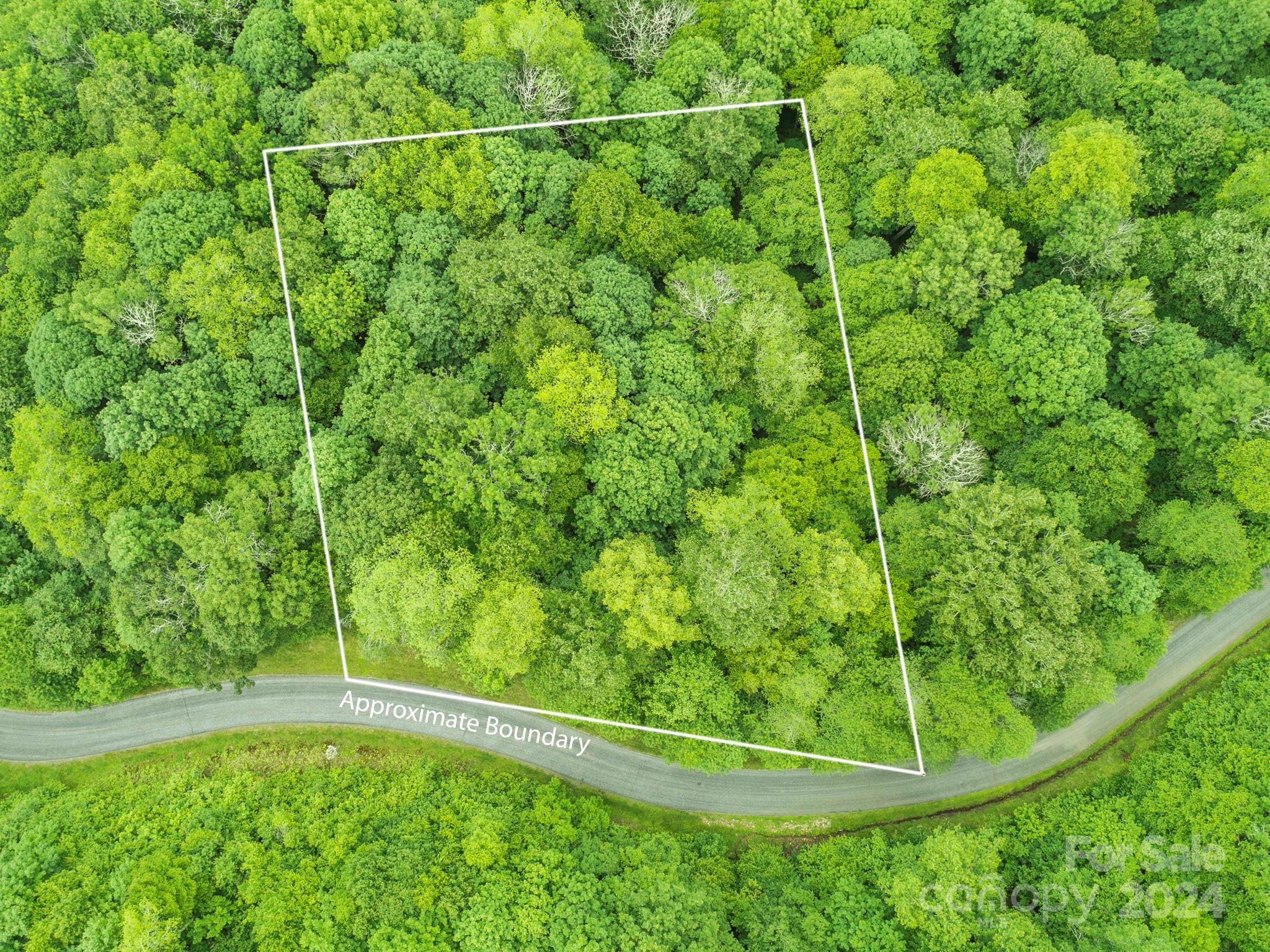 98 Goldenleaf Road Mars Hill NC 28754