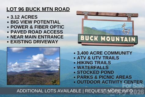 Tbd Buck Mountain Road Purlear NC 28665