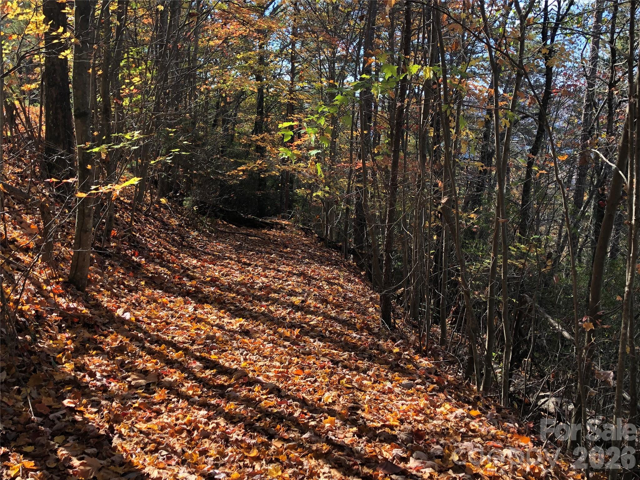 Tbd Buck Mountain Road Purlear NC 28665