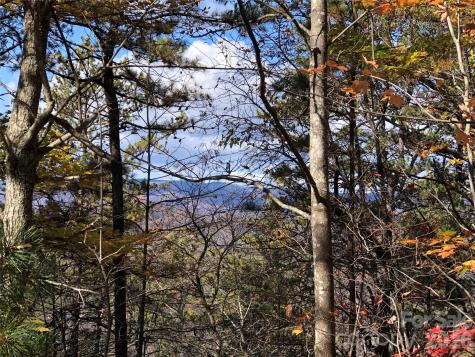 Tbd Buck Mountain Road Purlear NC 28665