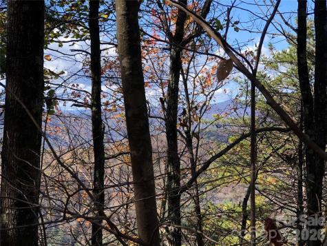 Tbd Buck Mountain Road Purlear NC 28665