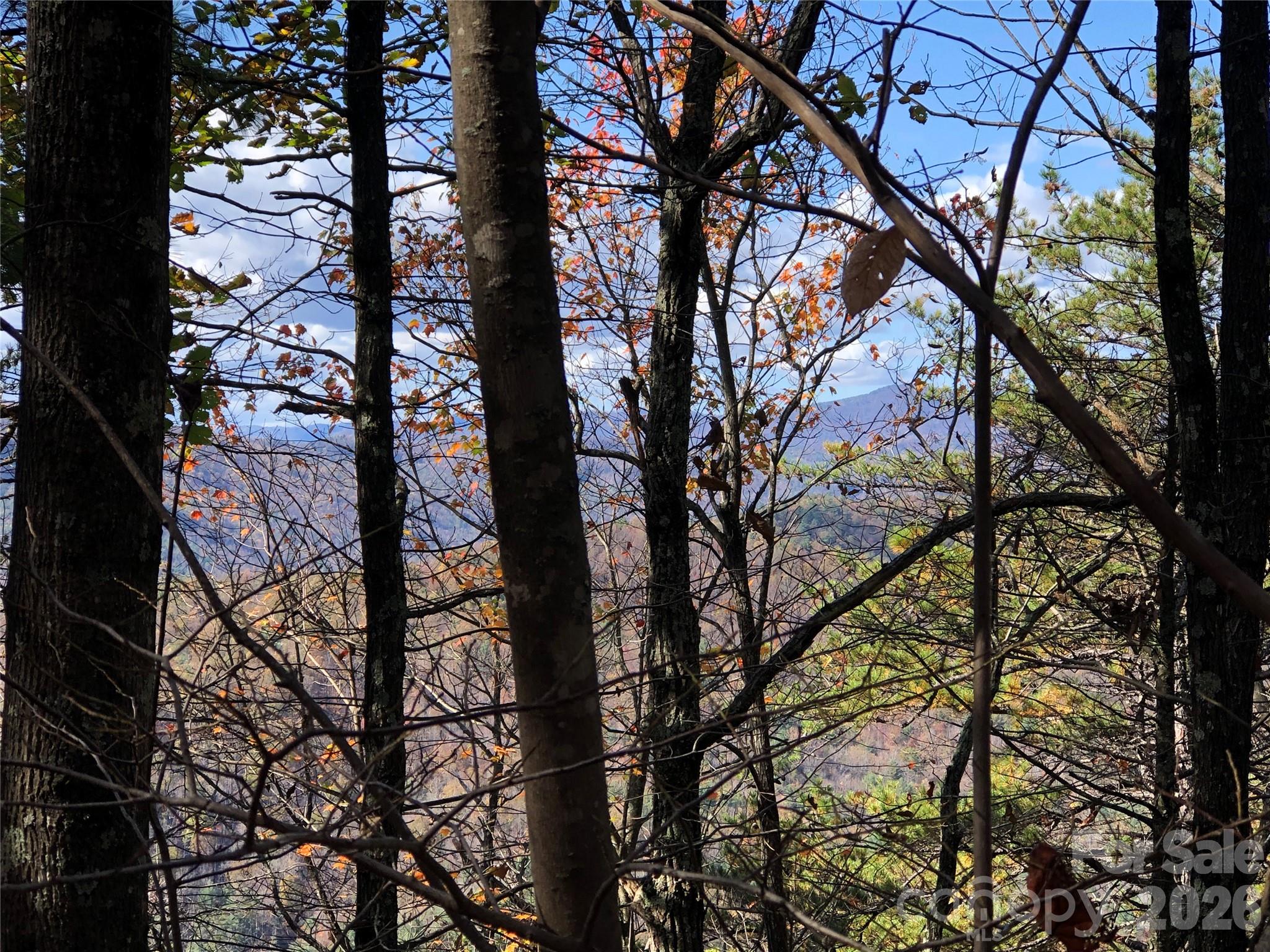 Tbd Buck Mountain Road Purlear NC 28665