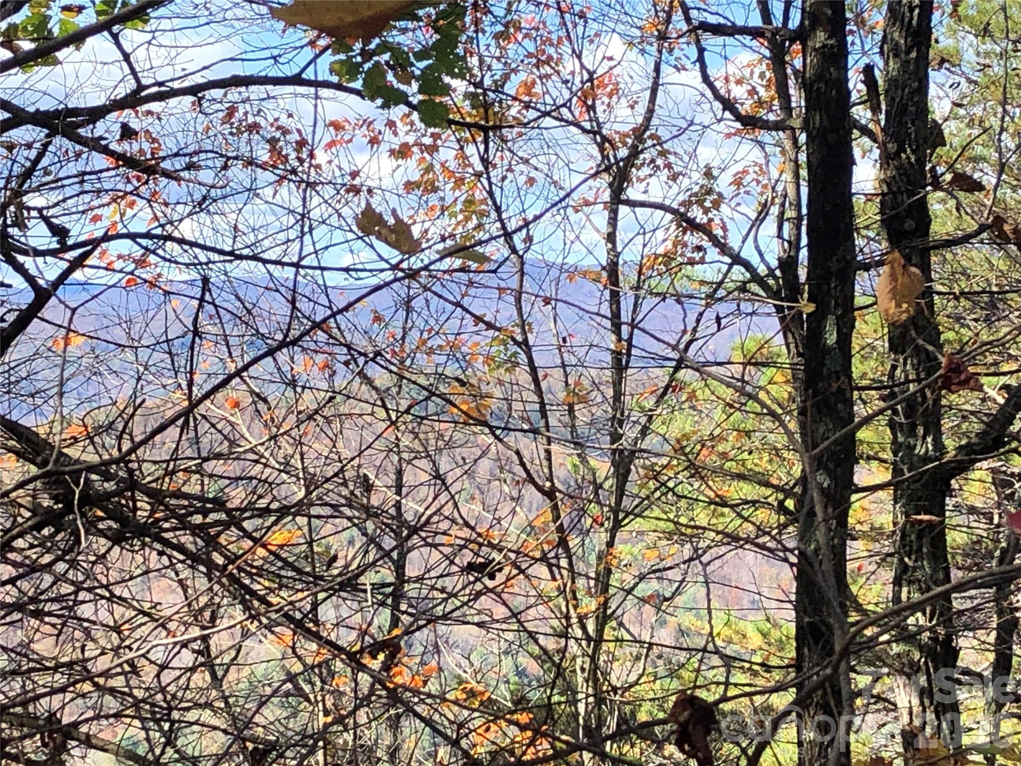 Tbd Buck Mountain Road Purlear NC 28665