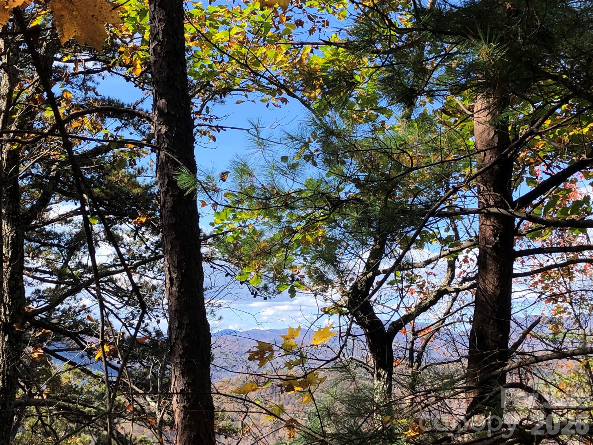 Tbd Buck Mountain Road Purlear NC 28665