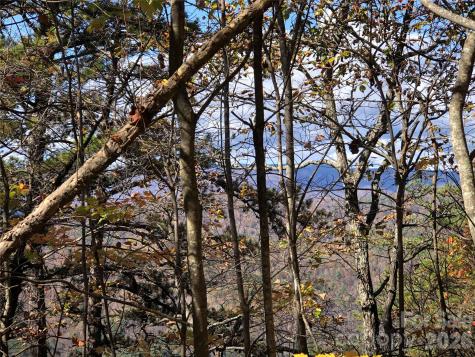 Tbd Buck Mountain Road Purlear NC 28665