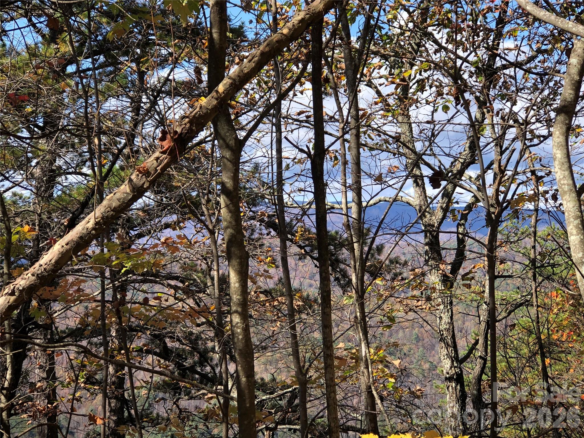 Tbd Buck Mountain Road Purlear NC 28665