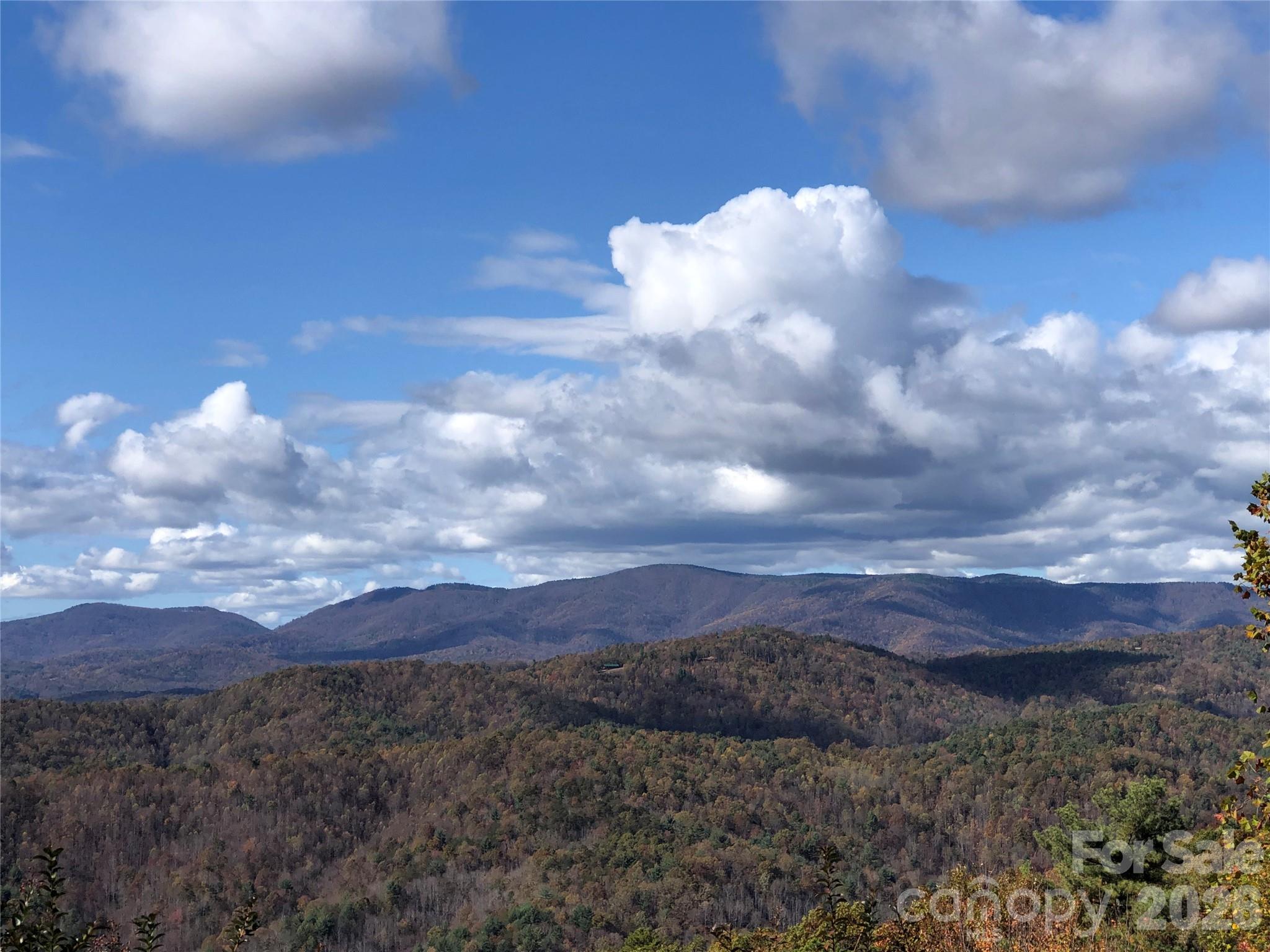 Tbd Buck Mountain Road Purlear NC 28665