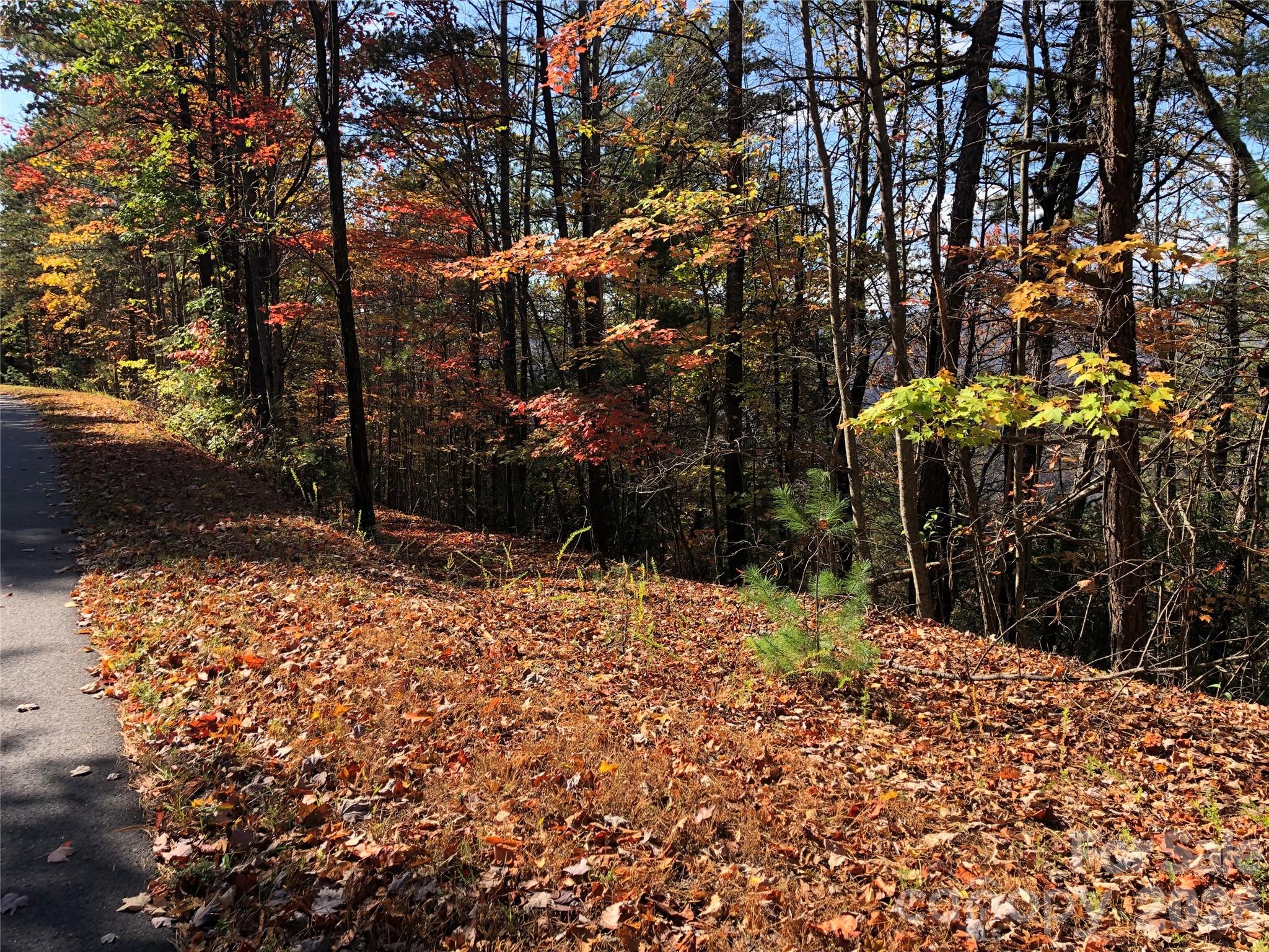 Tbd Buck Mountain Road Purlear NC 28665