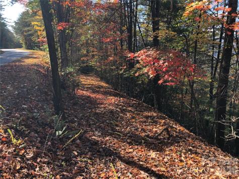 Tbd Buck Mountain Road Purlear NC 28665