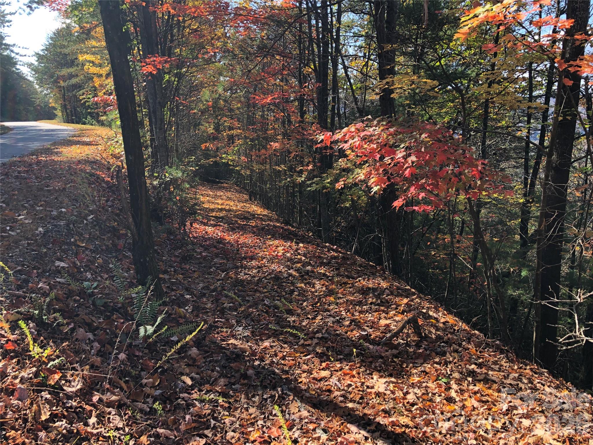 Tbd Buck Mountain Road Purlear NC 28665