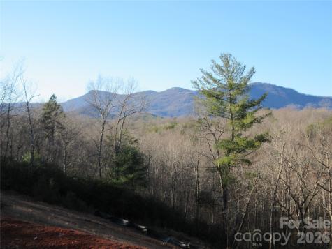 0 Levi Road Columbus NC 28722