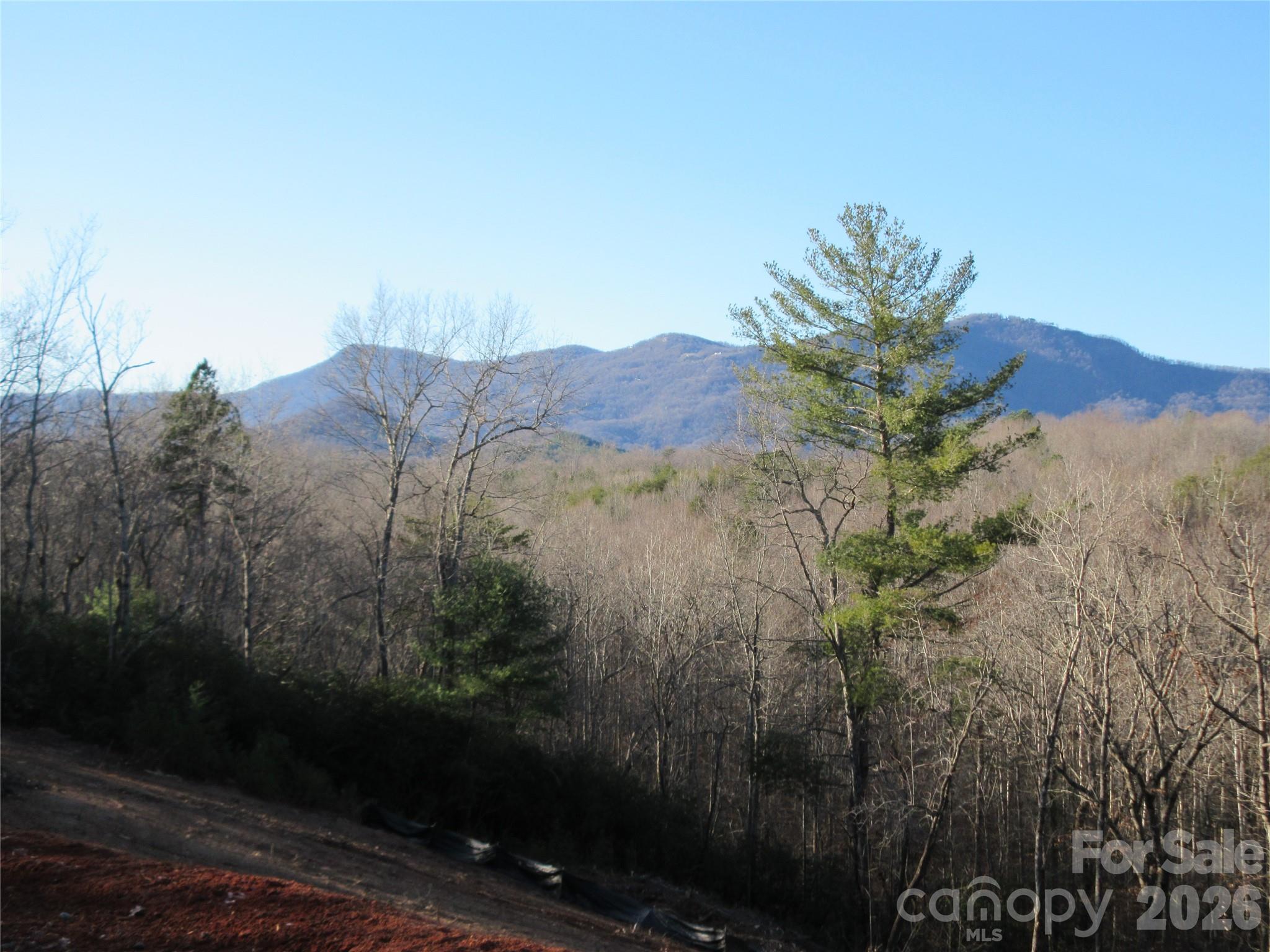 0 Levi Road Columbus NC 28722