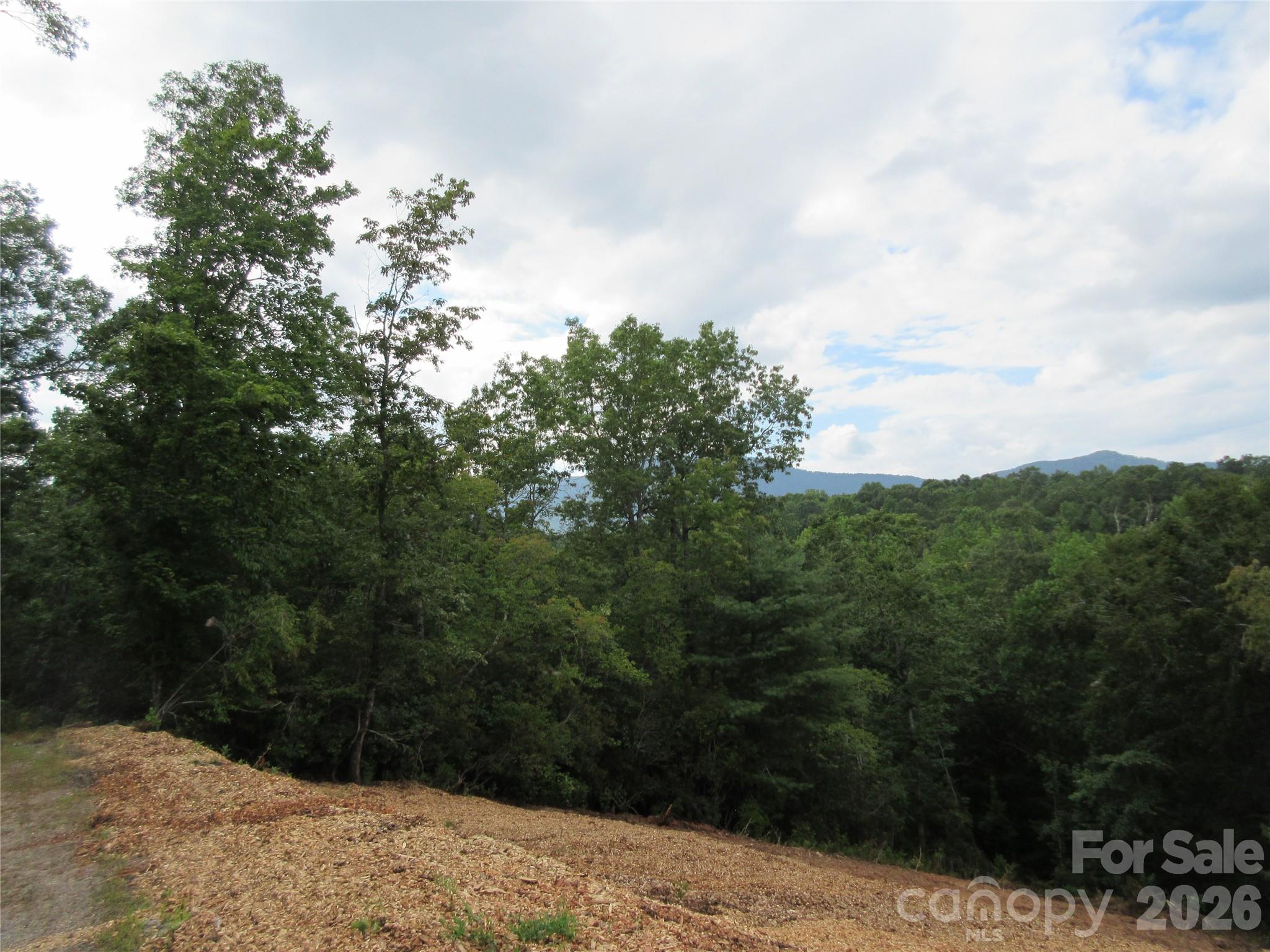 0 Levi Road Columbus NC 28722