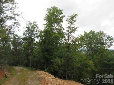 0 Levi Road Columbus NC 28722
