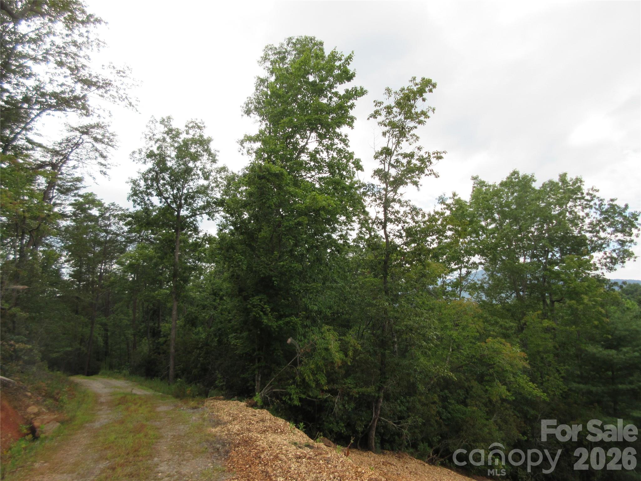 0 Levi Road Columbus NC 28722