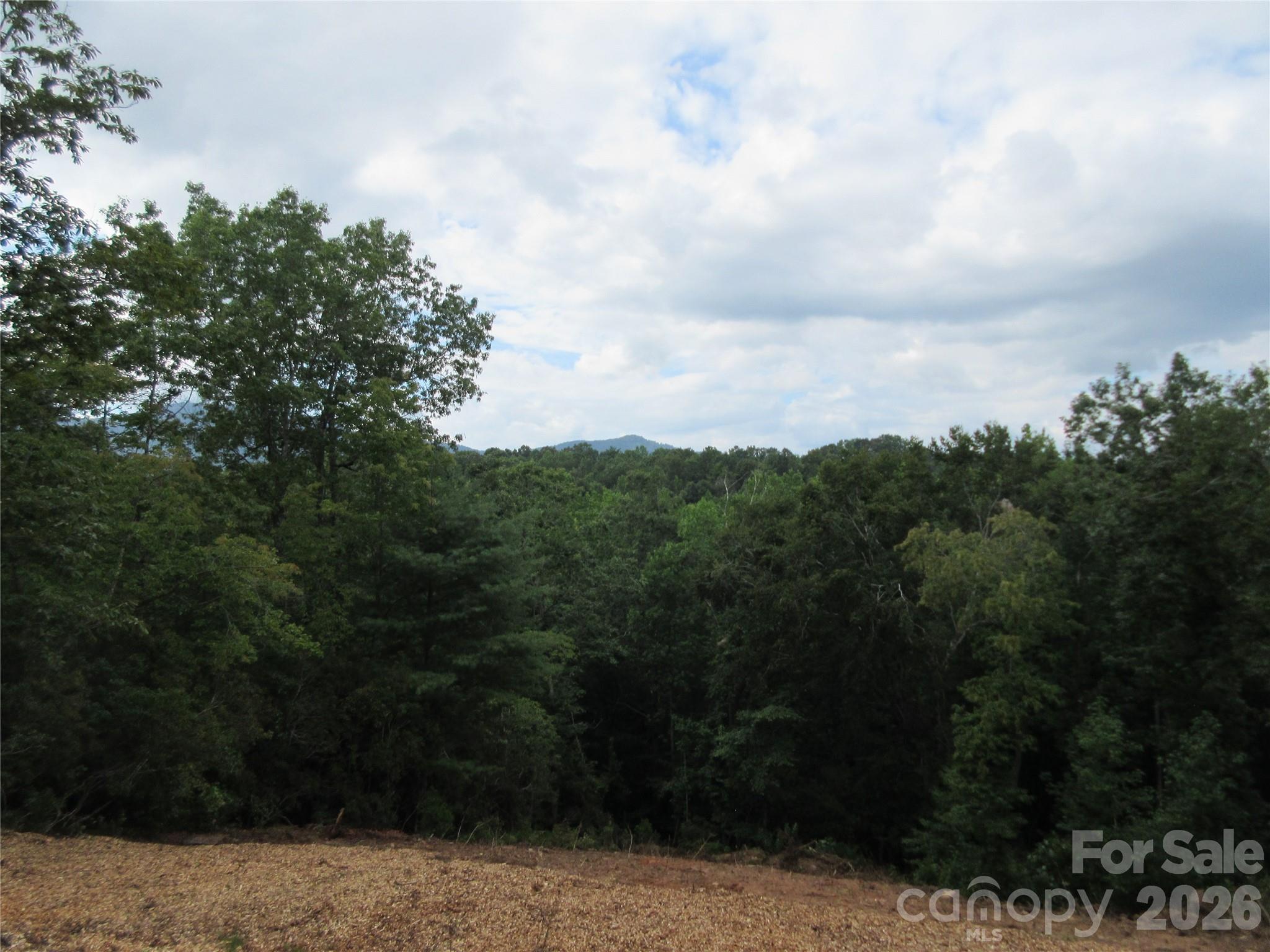 0 Levi Road Columbus NC 28722