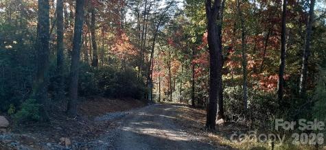 0 Levi Road Columbus NC 28722