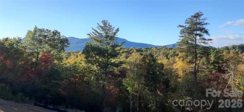 0 Levi Road Columbus NC 28722