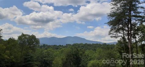 0 Levi Road Columbus NC 28722