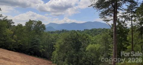 0 Levi Road Columbus NC 28722