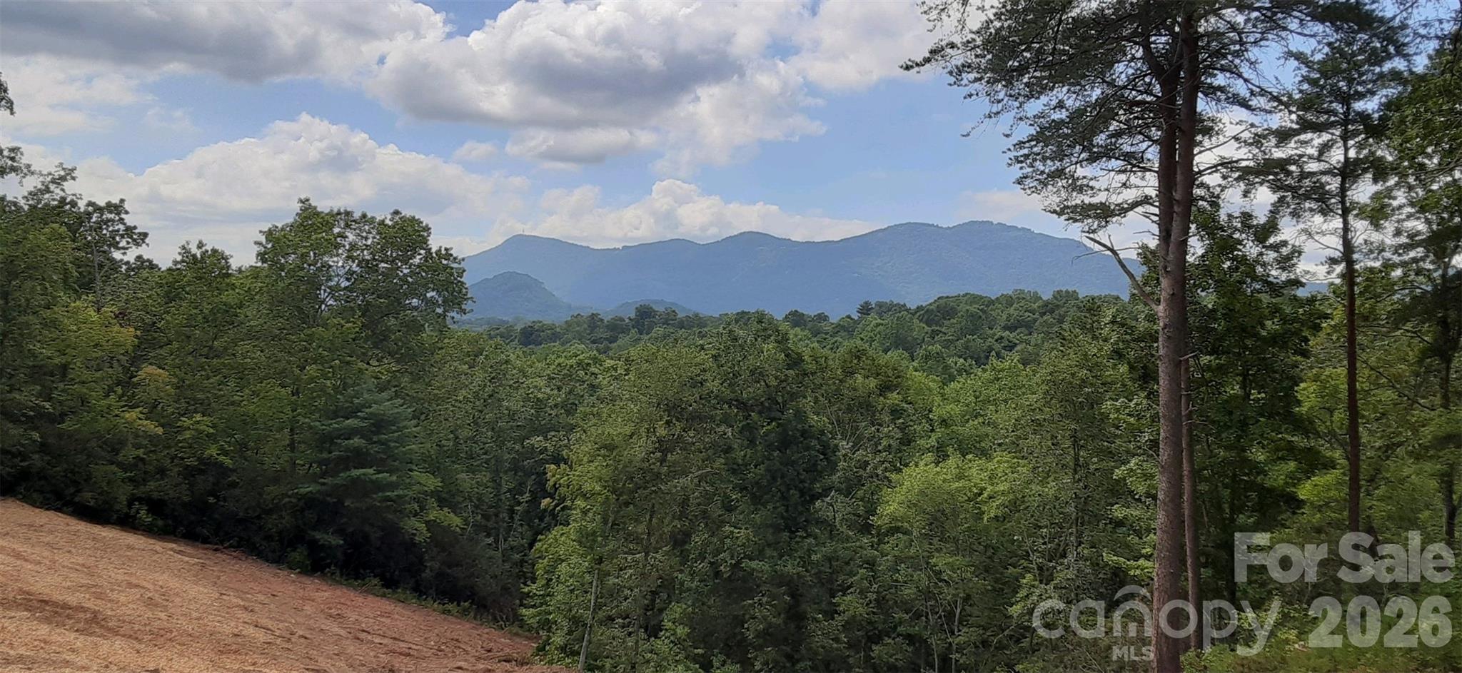 0 Levi Road Columbus NC 28722