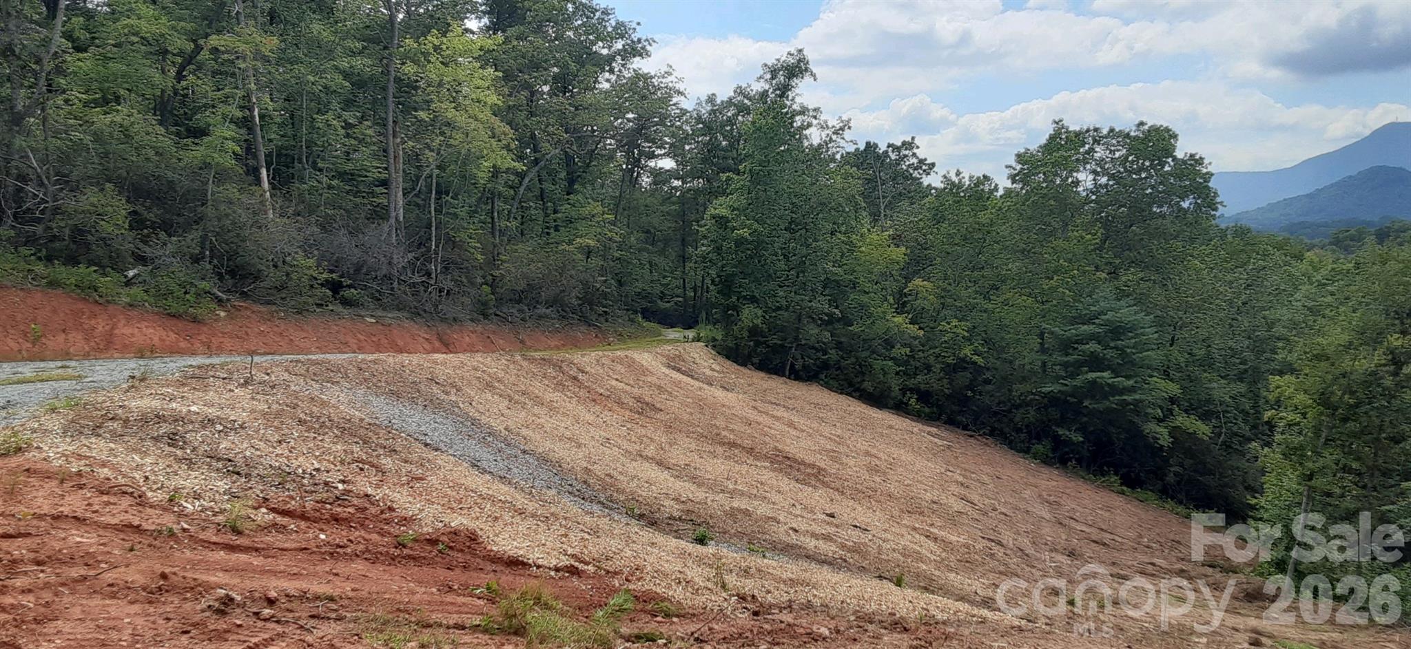 0 Levi Road Columbus NC 28722