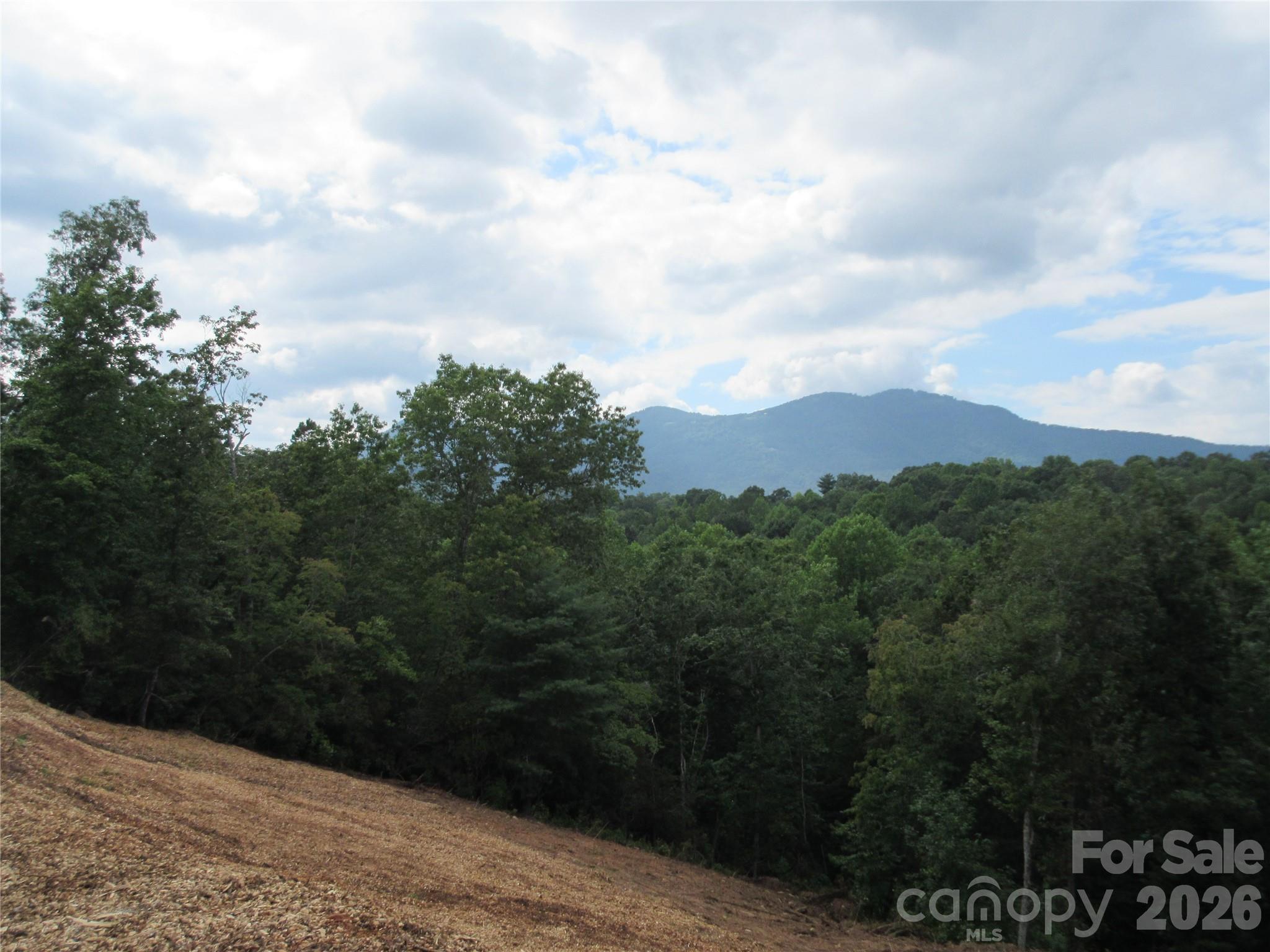 0 Levi Road Columbus NC 28722