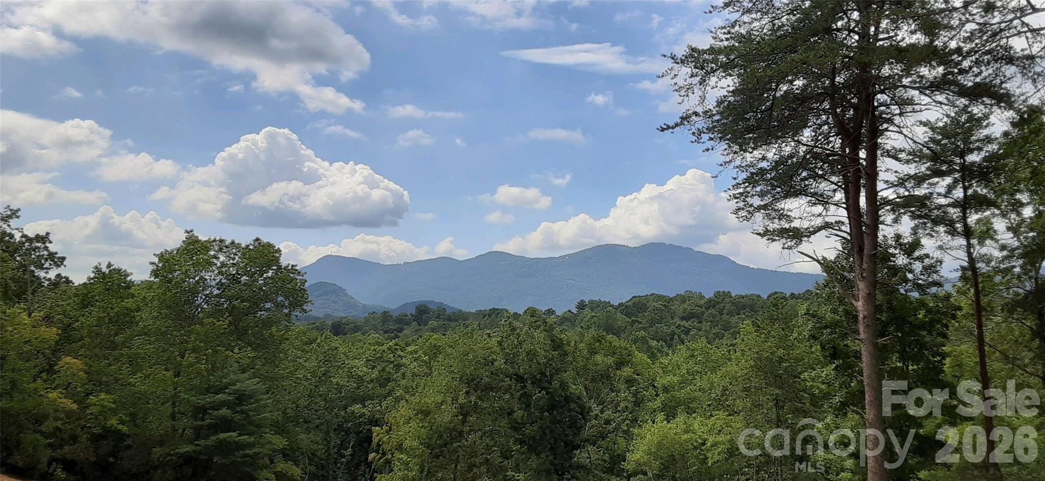 0 Levi Road Columbus NC 28722