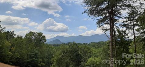 0 Levi Road Columbus NC 28722