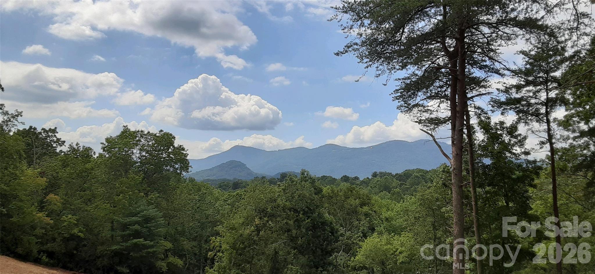 0 Levi Road Columbus NC 28722
