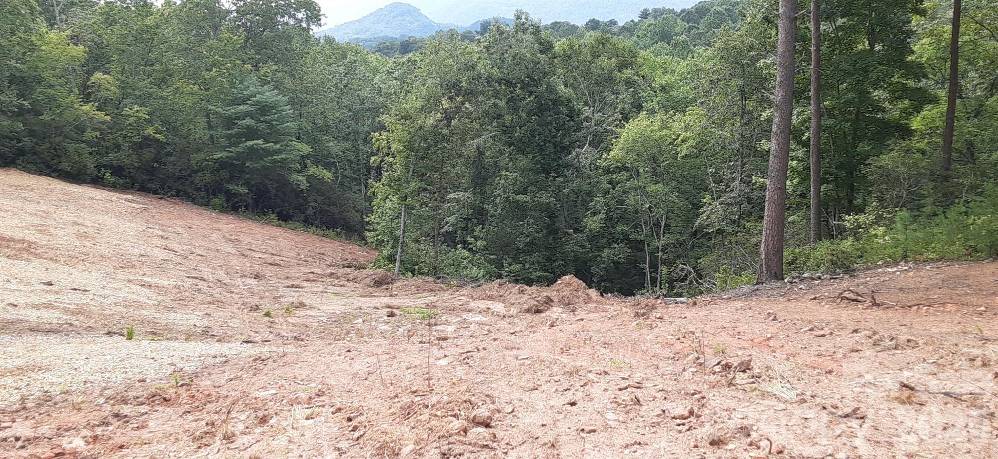 0 Levi Road Columbus NC 28722