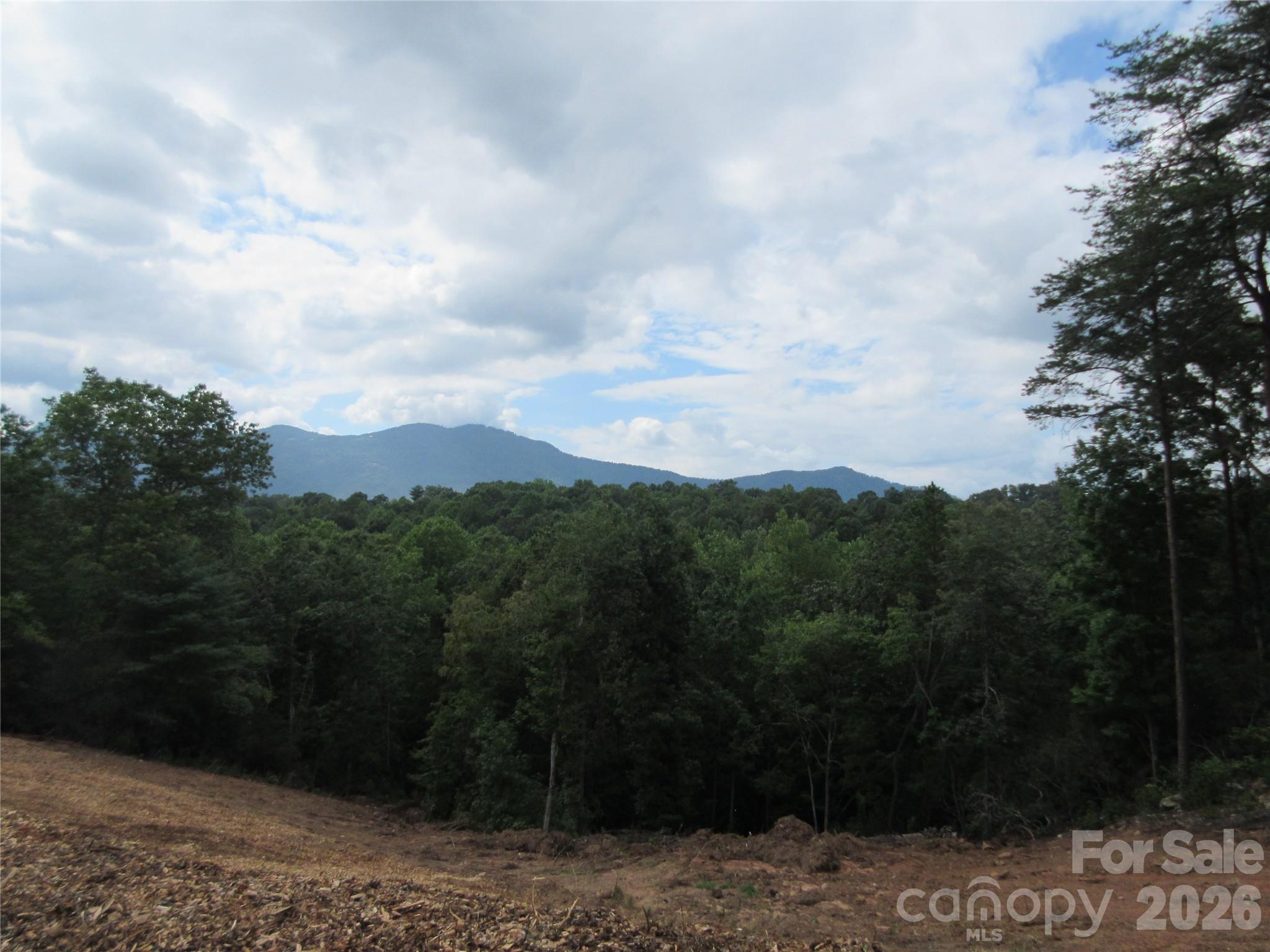 0 Levi Road Columbus NC 28722