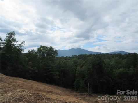 0 Levi Road Columbus NC 28722