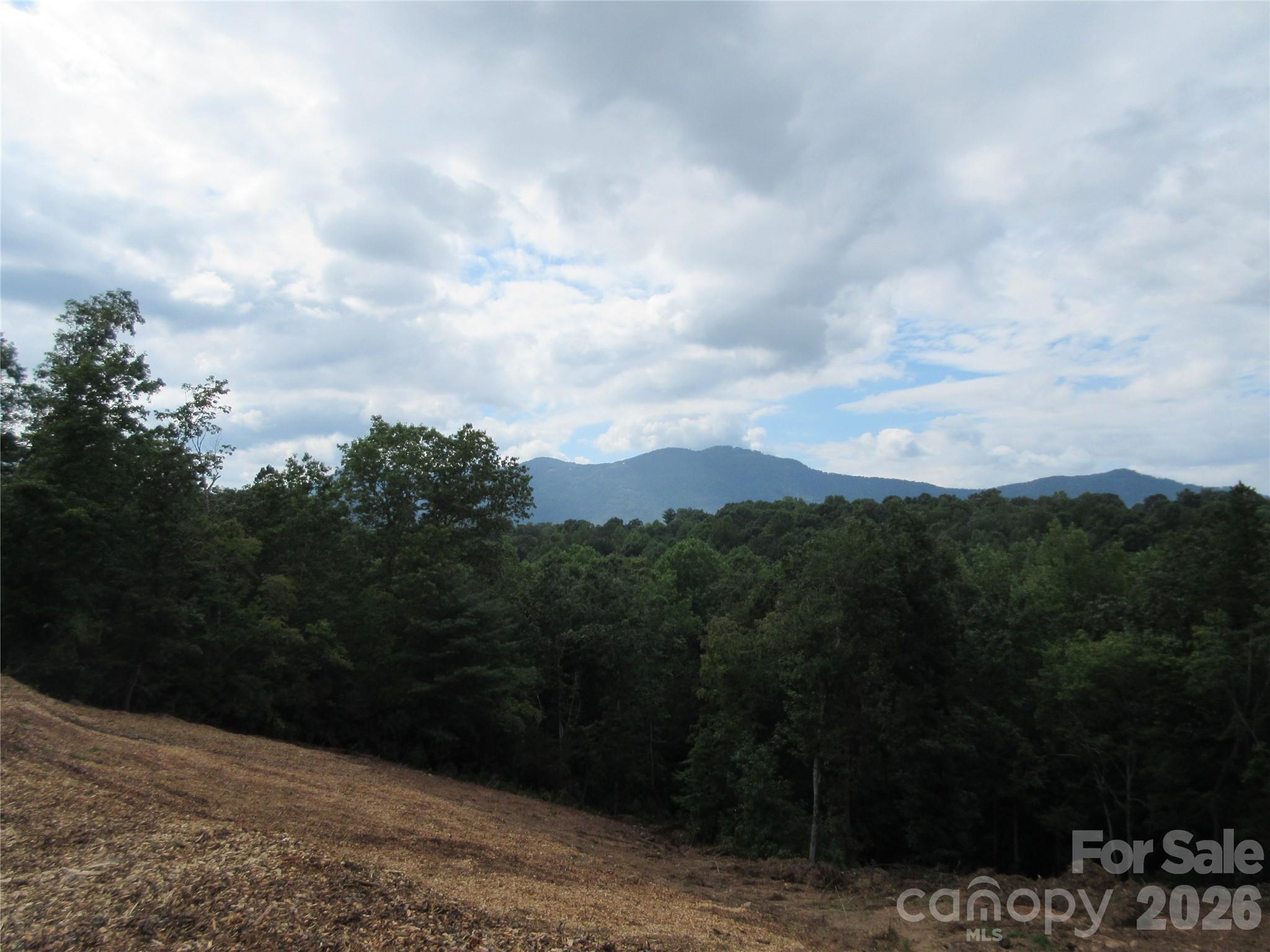 0 Levi Road Columbus NC 28722