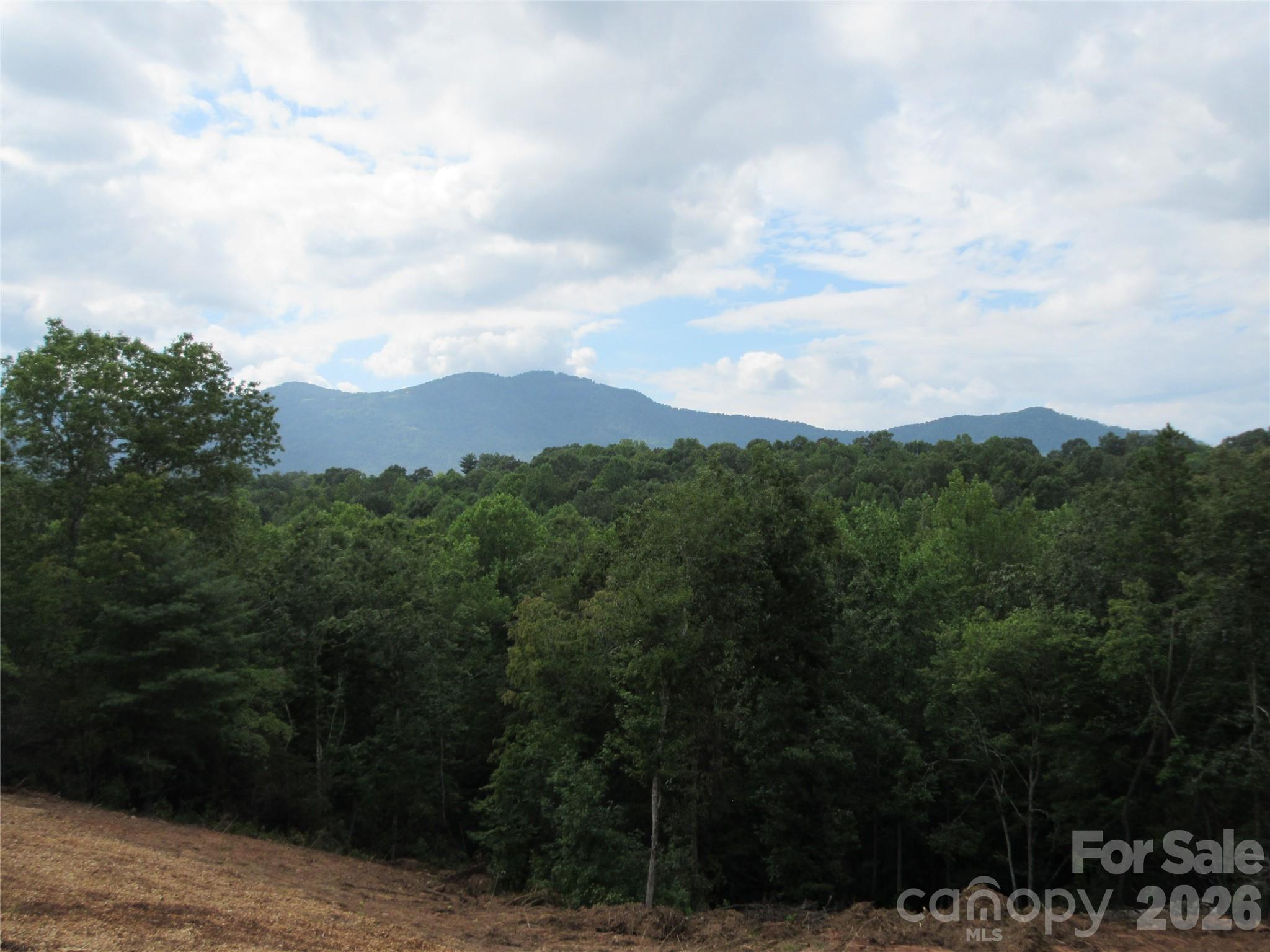 0 Levi Road Columbus NC 28722