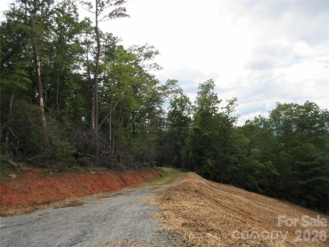 0 Levi Road Columbus NC 28722