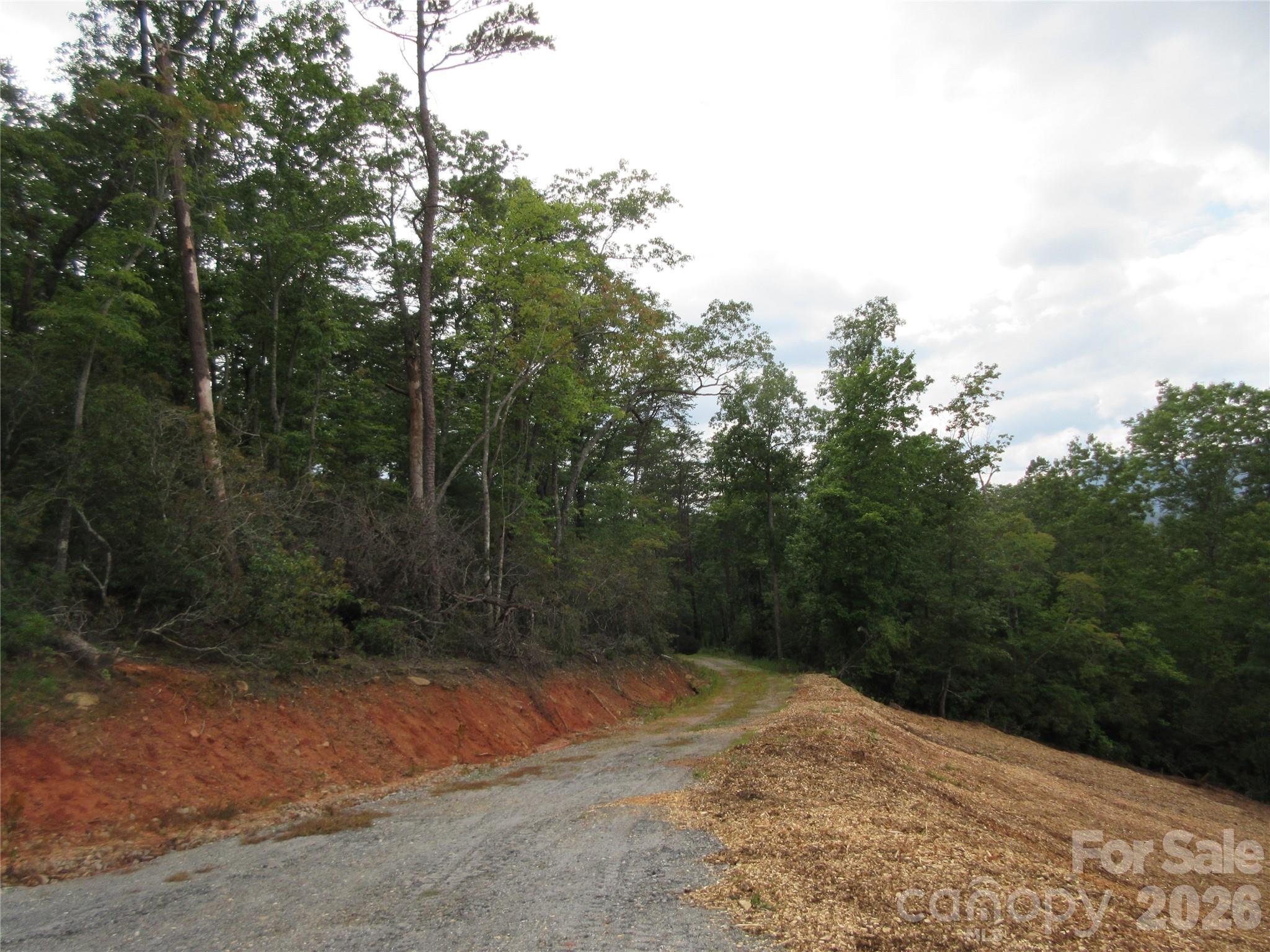 0 Levi Road Columbus NC 28722
