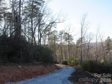 0 Levi Road Columbus NC 28722