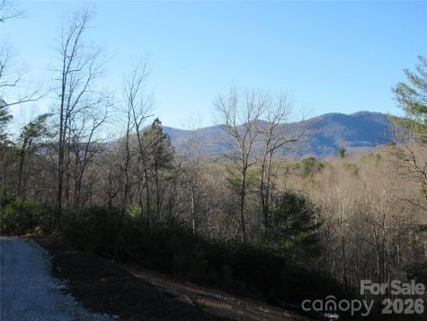0 Levi Road Columbus NC 28722