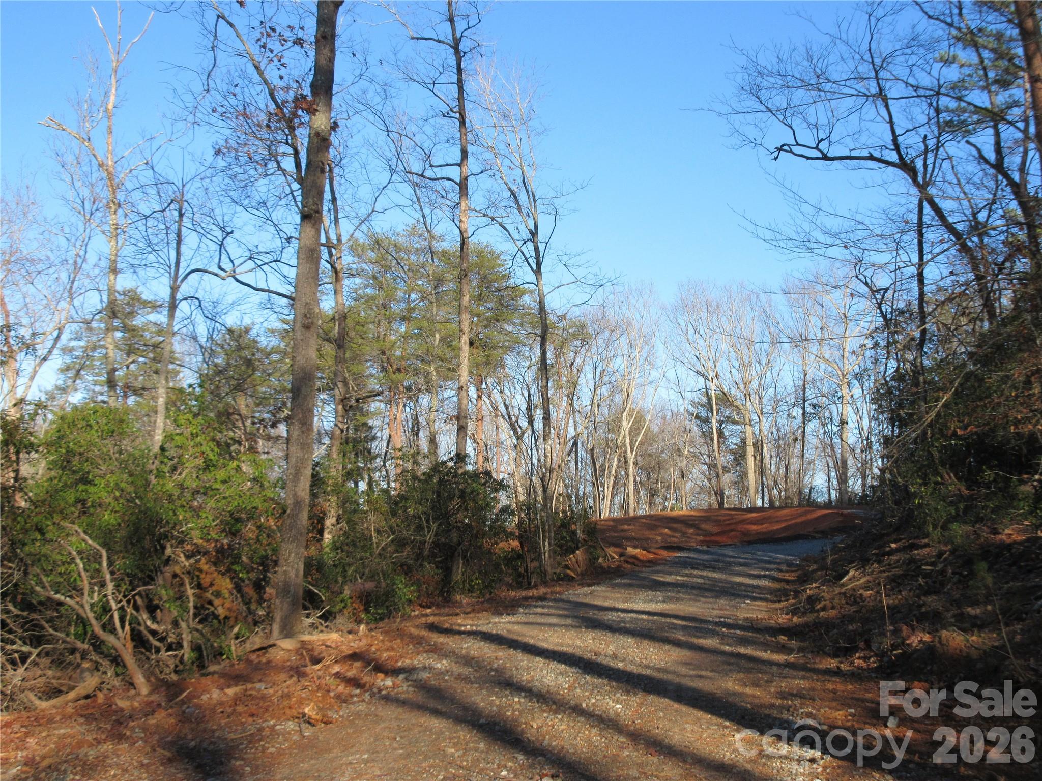 0 Levi Road Columbus NC 28722