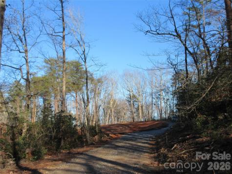 0 Levi Road Columbus NC 28722