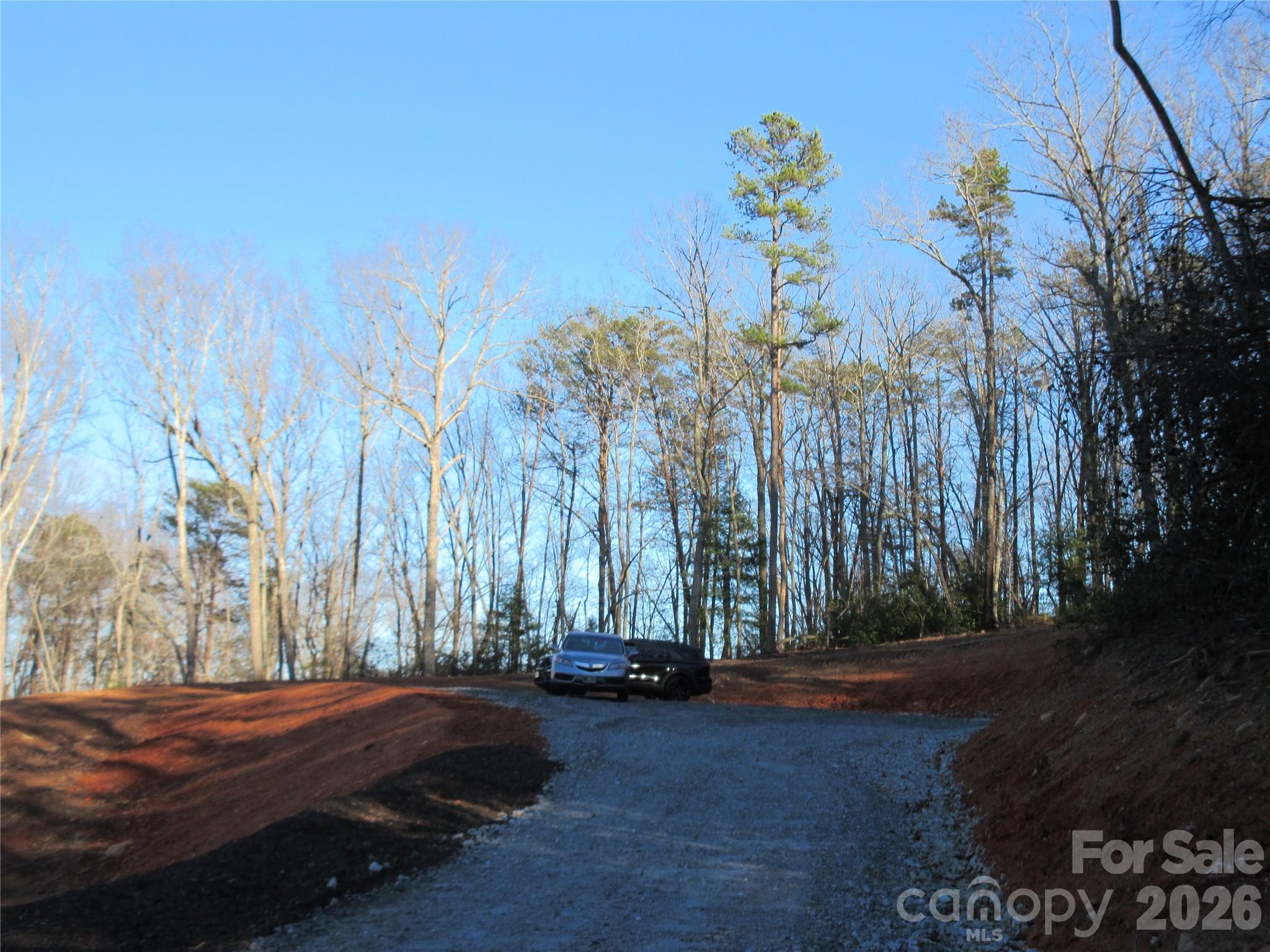 0 Levi Road Columbus NC 28722