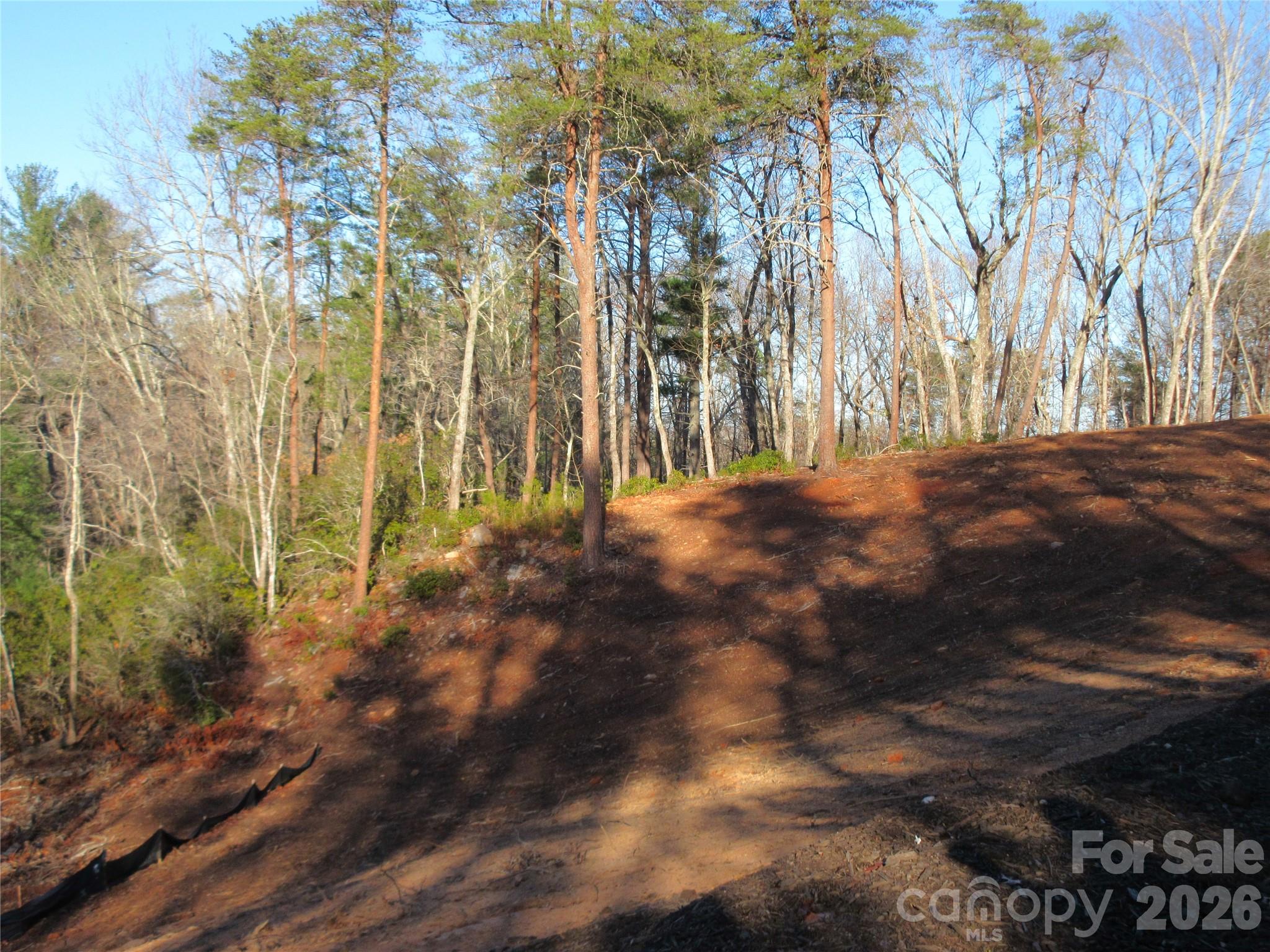 0 Levi Road Columbus NC 28722