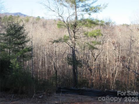 0 Levi Road Columbus NC 28722