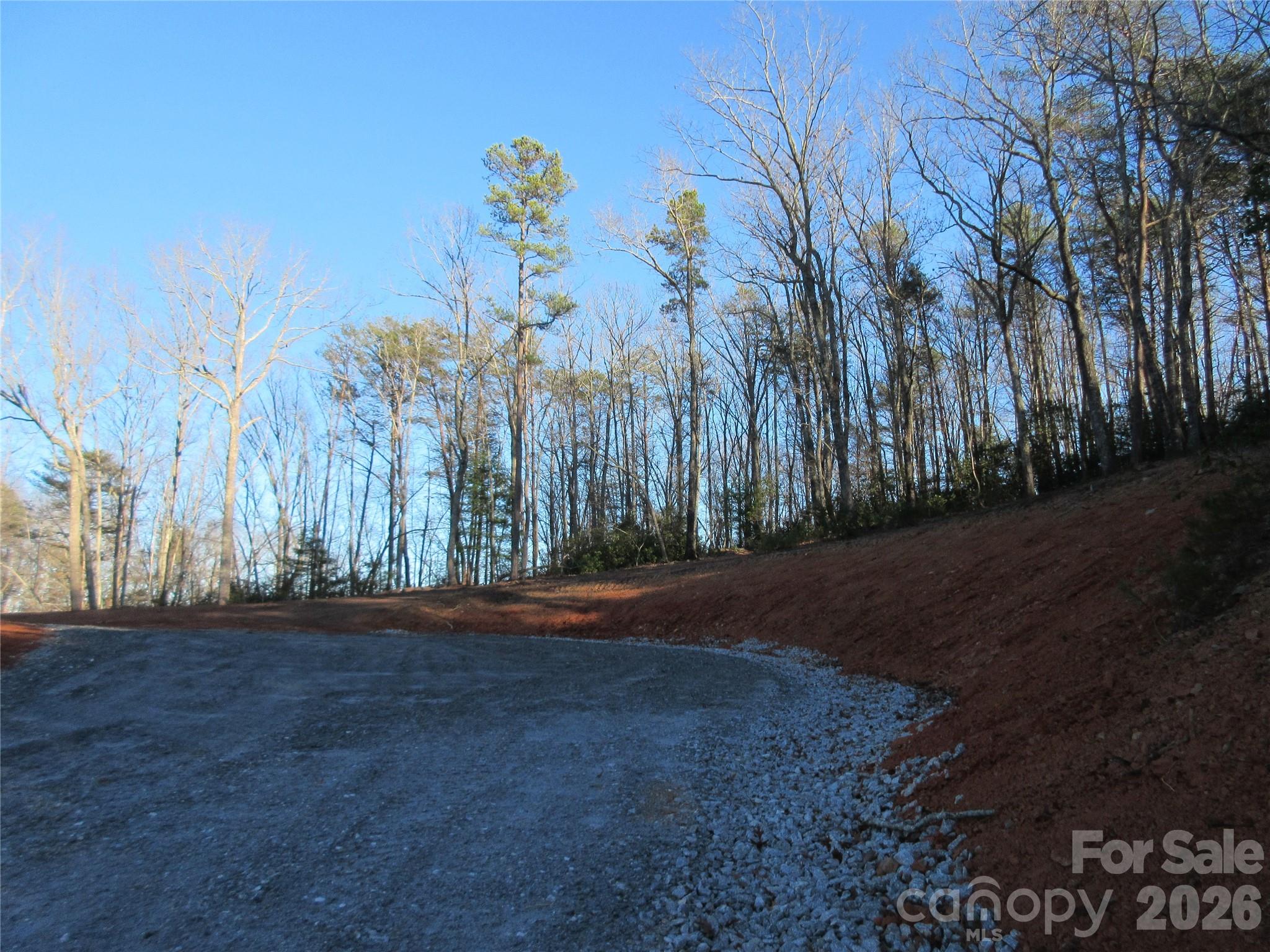 0 Levi Road Columbus NC 28722