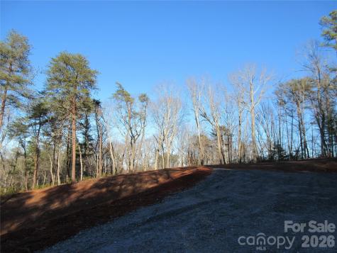 0 Levi Road Columbus NC 28722