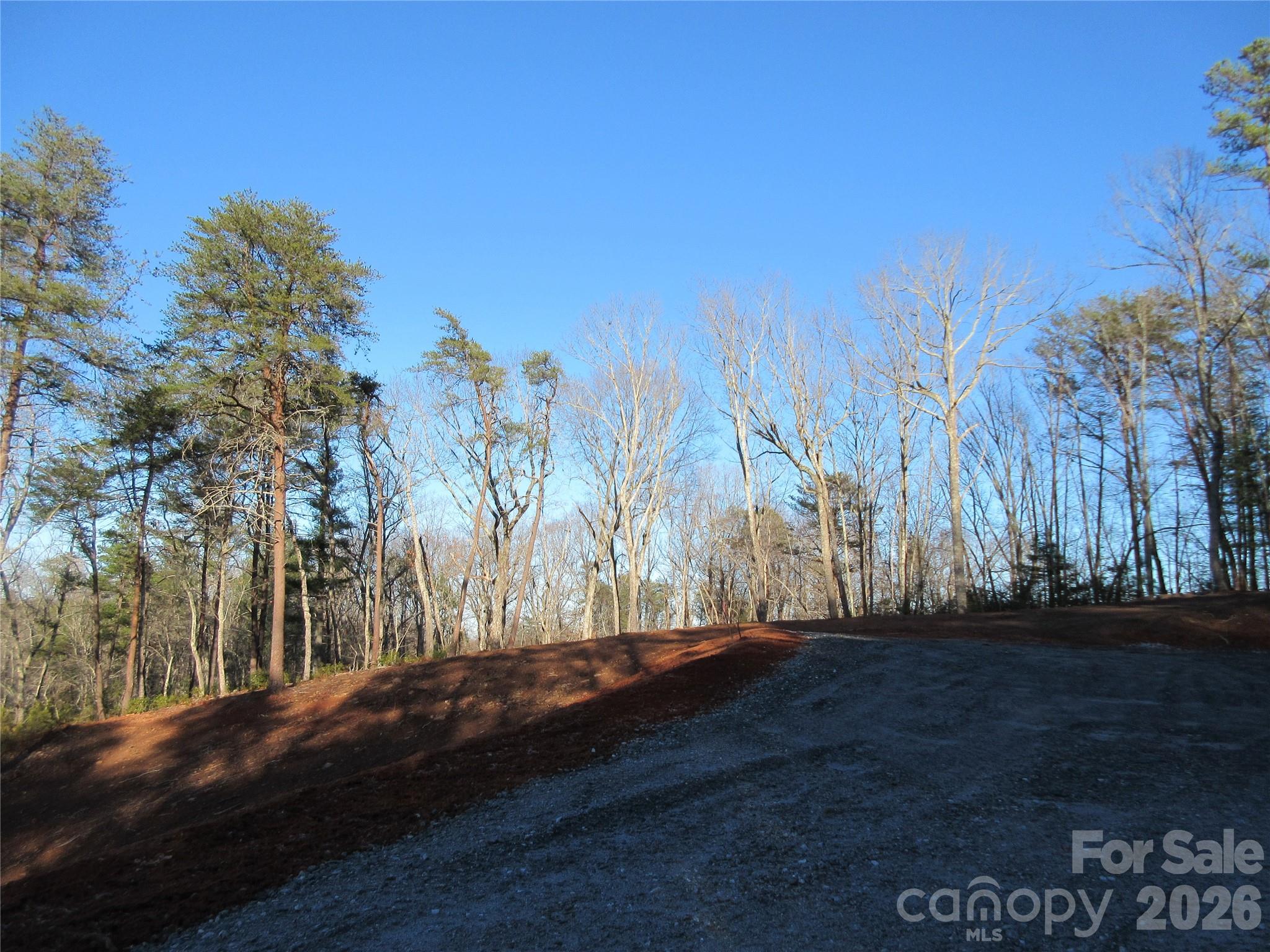 0 Levi Road Columbus NC 28722