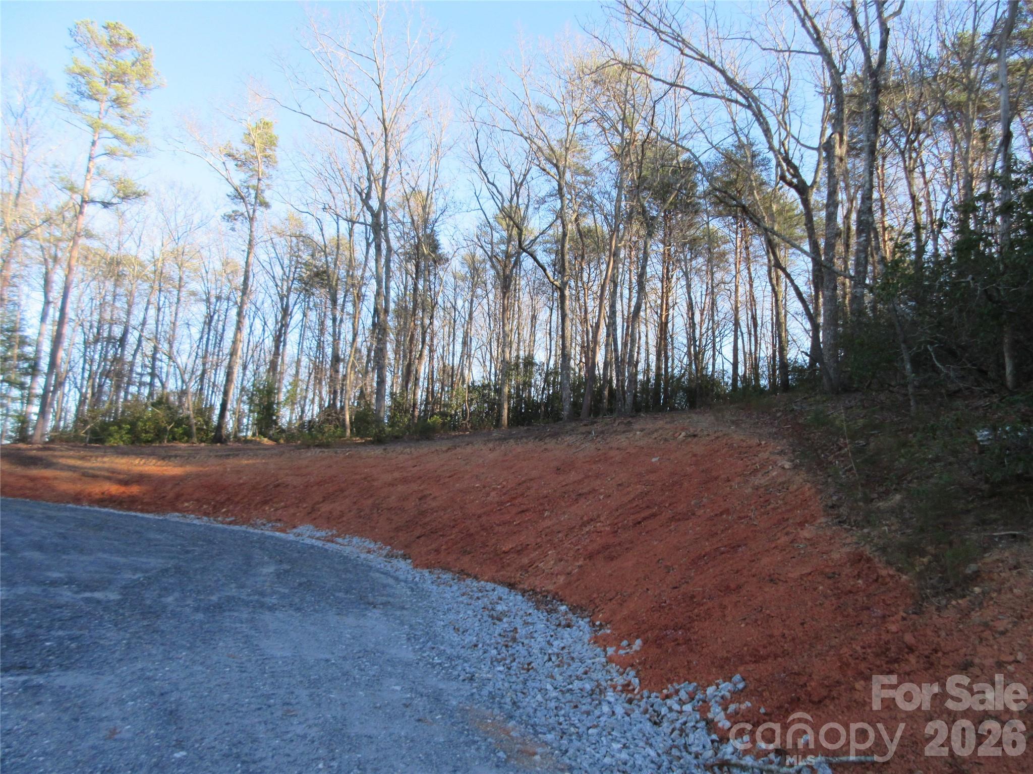 0 Levi Road Columbus NC 28722