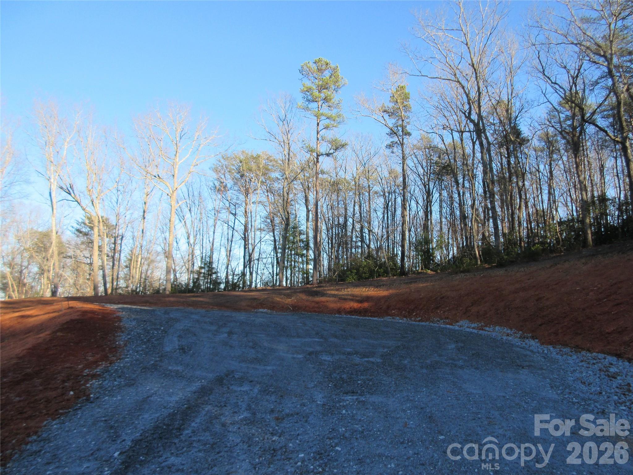 0 Levi Road Columbus NC 28722