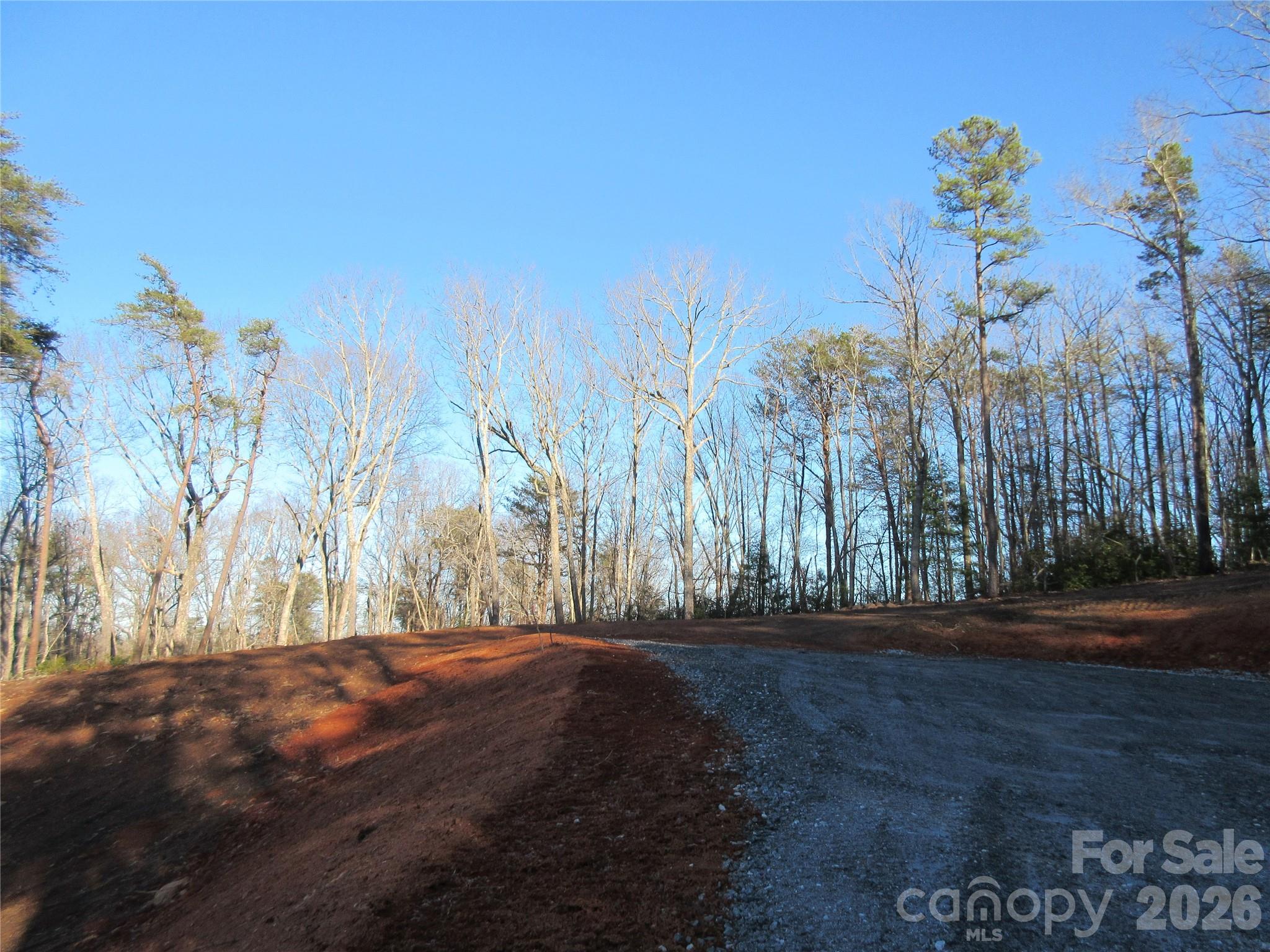 0 Levi Road Columbus NC 28722